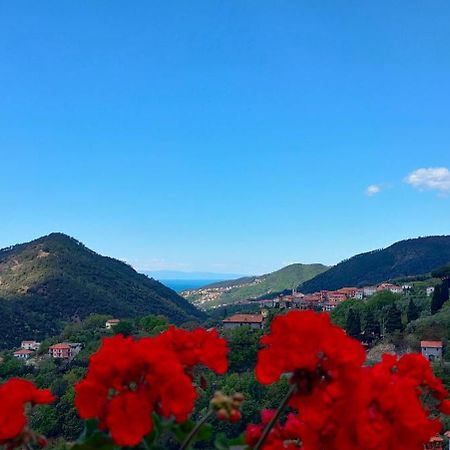 Camera Tra Le Cinque Terre, Camogli E Portofino. Vista Valle E Scorcio Mare All'Orizzonte Castiglione Chiavarese Εξωτερικό φωτογραφία