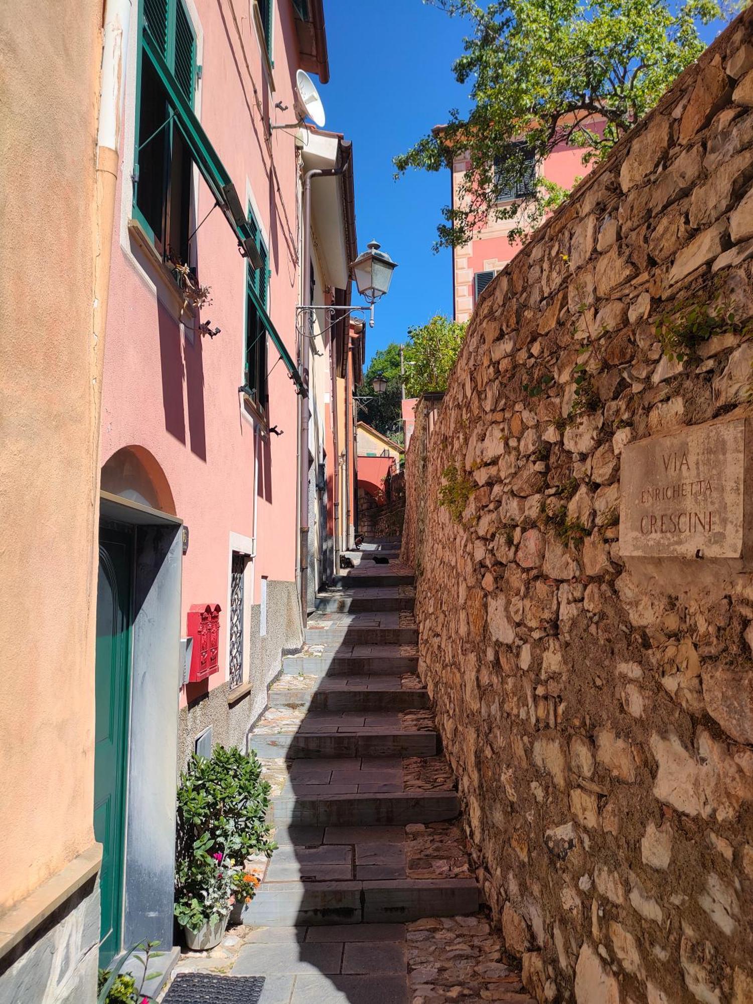 Camera Tra Le Cinque Terre, Camogli E Portofino. Vista Valle E Scorcio Mare All'Orizzonte Castiglione Chiavarese Εξωτερικό φωτογραφία