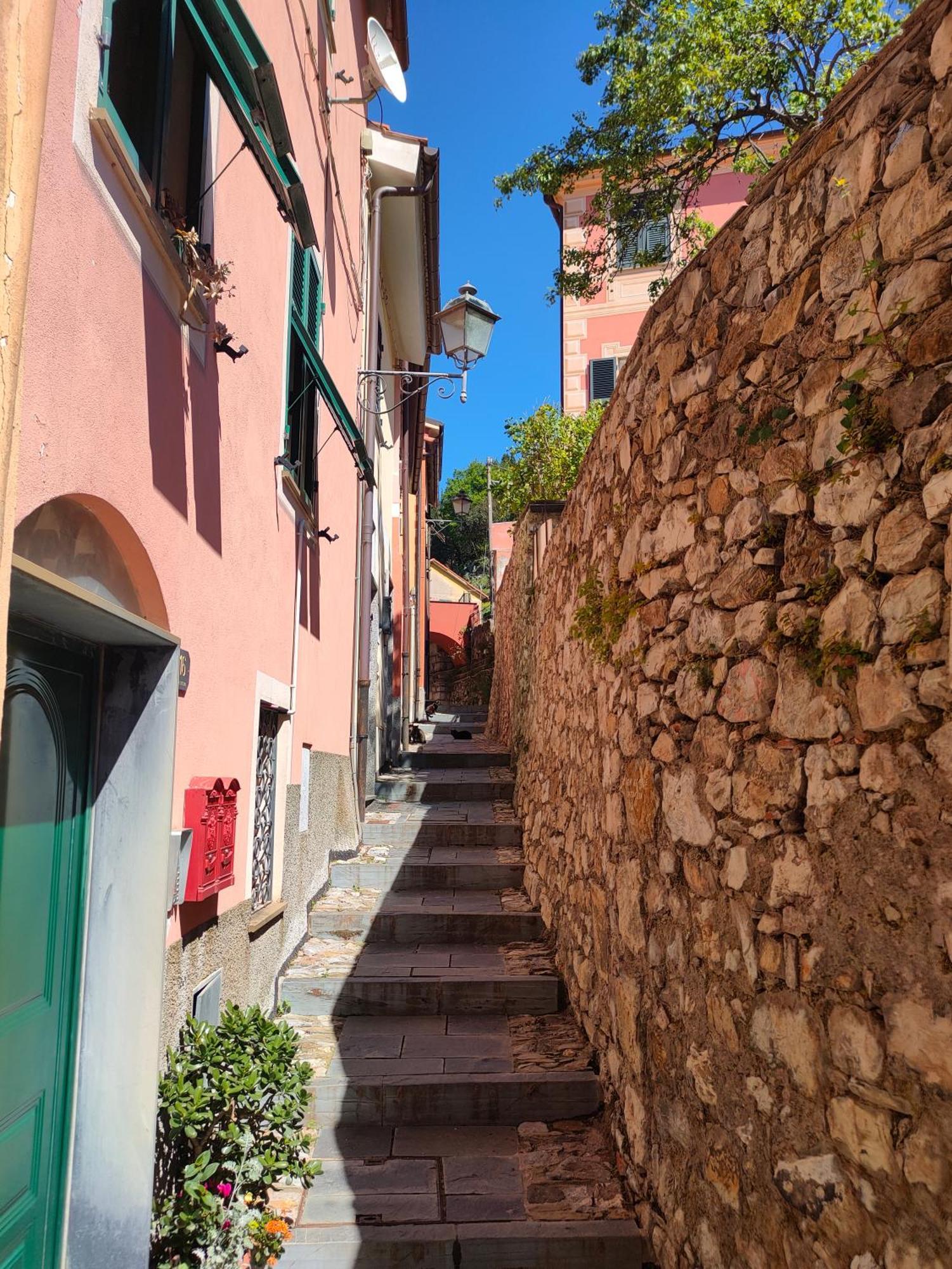 Camera Tra Le Cinque Terre, Camogli E Portofino. Vista Valle E Scorcio Mare All'Orizzonte Castiglione Chiavarese Εξωτερικό φωτογραφία