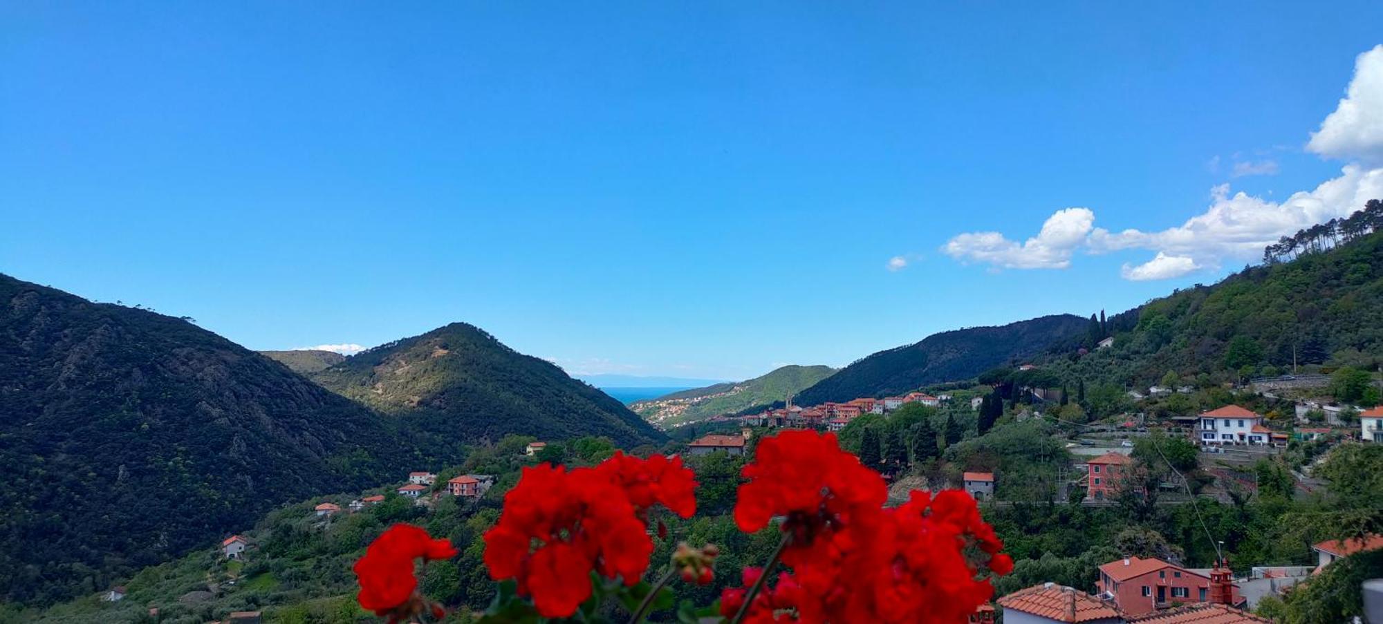 Camera Tra Le Cinque Terre, Camogli E Portofino. Vista Valle E Scorcio Mare All'Orizzonte Castiglione Chiavarese Εξωτερικό φωτογραφία
